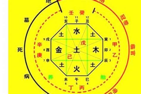 喜木命|生辰八字算命、五行喜用神查詢（免費測算）